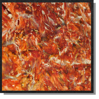 Datei:Fleisch.png