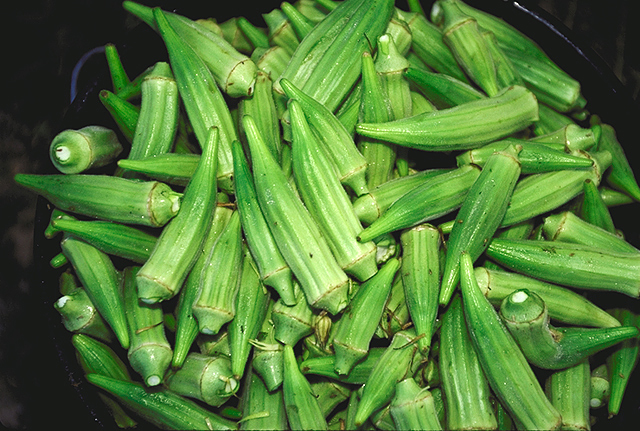 Datei:Bucket of raw okra pods.jpg