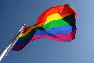 Datei:Ainbow Flag Waves simple compose 01jyxp3w2ae5a8qbjyqb8zn67m.gif