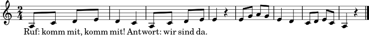 \relative c' { \time 2/4 \key a \minor
a8 c d e | d4 c | a8 c d e | e4 r |
e8 g a g | e4 d | c8 d e c | a4 r \bar "|." }
\addlyrics { Ruf: komm mit, komm mit! Ant -- wort: wir sind da. }