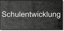 Schulentwicklung MOOCit.png