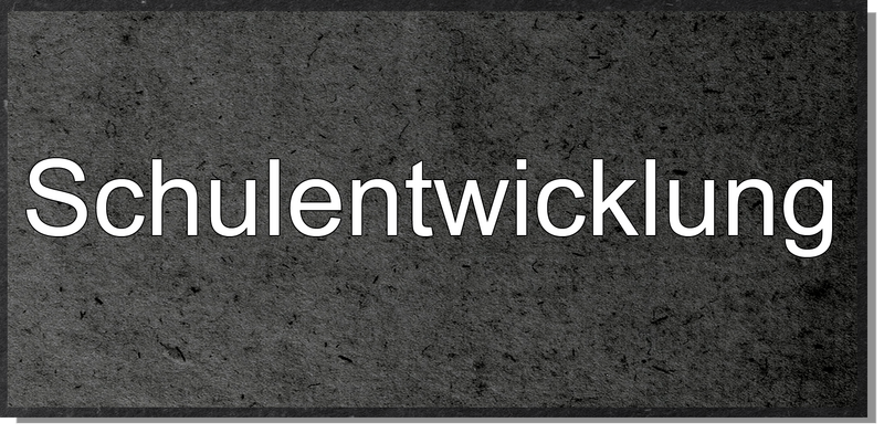 Datei:Schulentwicklung MOOCit.png