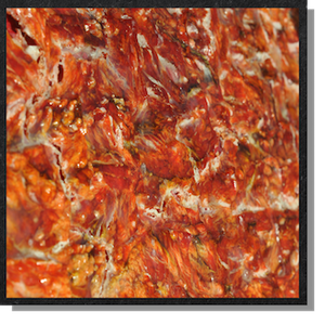 Fleisch.png