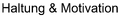 Vorschaubild der Version vom 23:49, 11. Jun. 2026