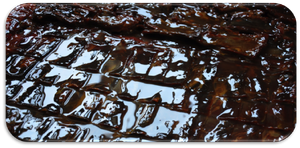 Struktur Schlitz neu.png