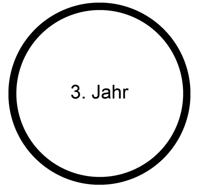 Datei:Baby MOOC - Drittes Jahr.png