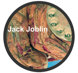 Joblin Fleisch-O-Phone.png