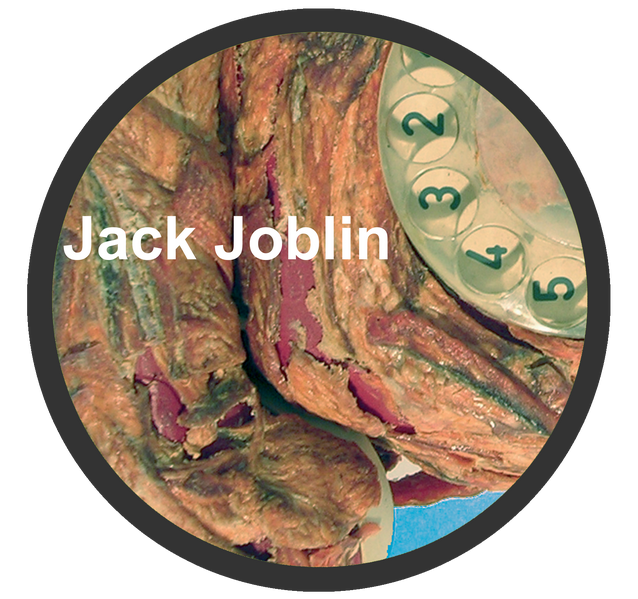 Datei:Joblin Fleisch-O-Phone.png