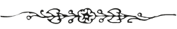 Ornament Strich.png