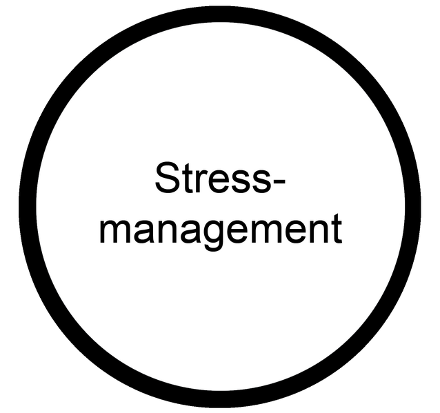 Datei:Stressmanagement Koennen Berufsorientierungs-Kompetenzraster MOOCit.png