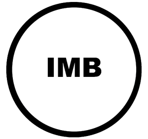 IMB - Informatik und Medienbildung.png