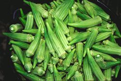 Bucket of raw okra pods.jpg