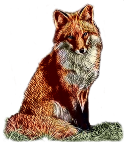 Fuchs.png