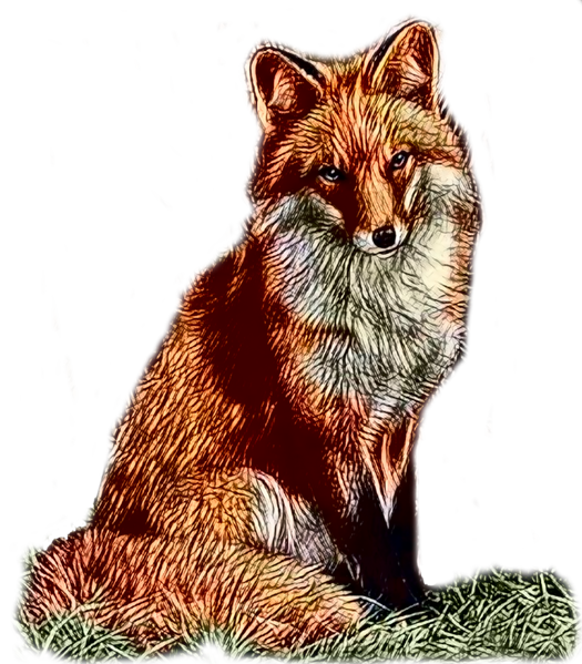 Datei:Fuchs.png