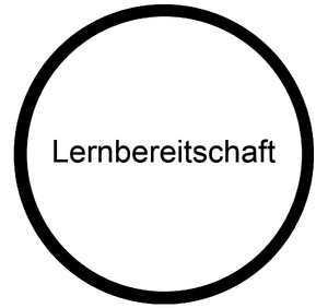Lernbereitschaft Haltung Berufsorientierungs-Kompetenzraster MOOCit.png
