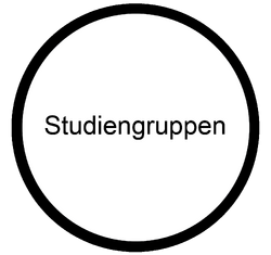 Studiengruppen.png