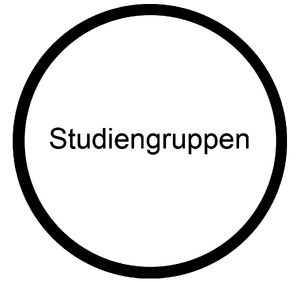 Studiengruppen.png