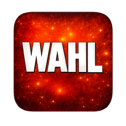 Wahl - KI gegen Nazis.png