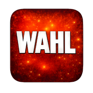 Wahl - KI gegen Nazis.png