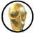 FIFA Weltmeisterschaft
