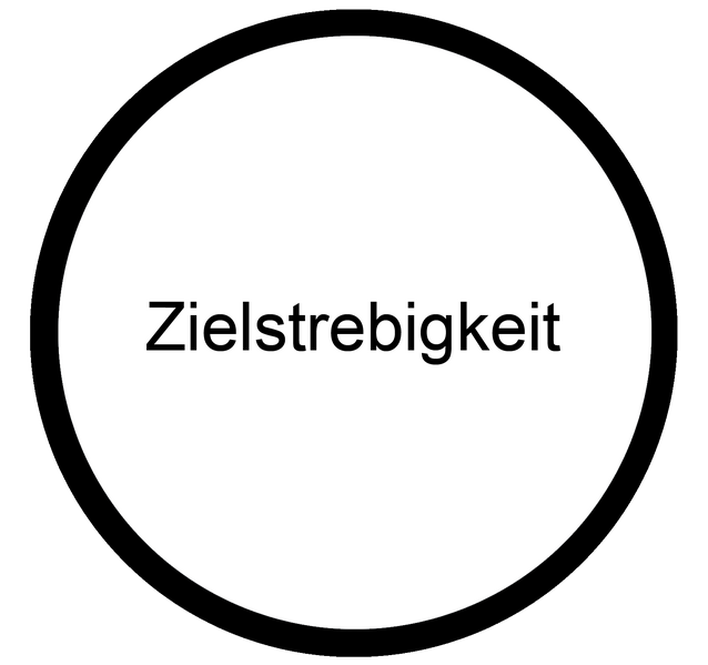 Datei:Zielstrebigkeit Haltung Berufsorientierungs-Kompetenzraster MOOCit.png