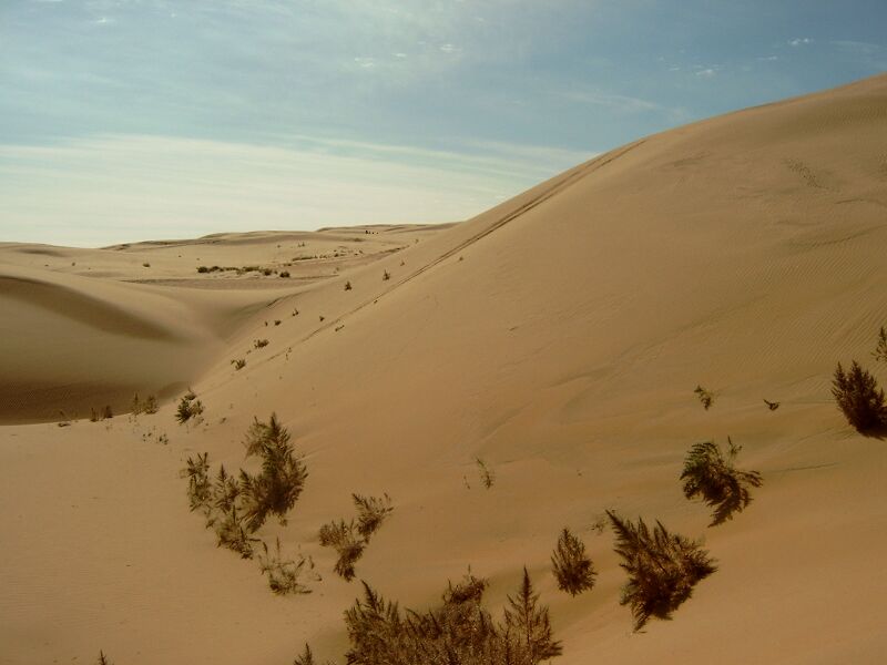 Datei:Gobi Desert.jpg