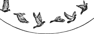 Alle Vögel sind schon da.gif