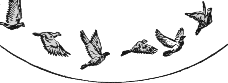 Datei:Alle Vögel sind schon da.gif