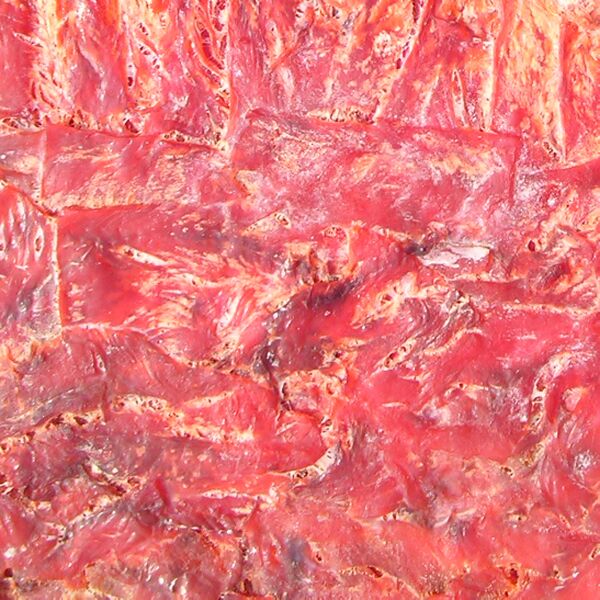 Datei:DRUCK 18 5 Lachs-Fleisch-Struktur.jpg