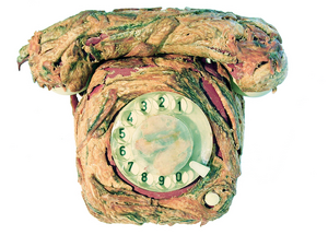 Fleisch-o-Phon.png