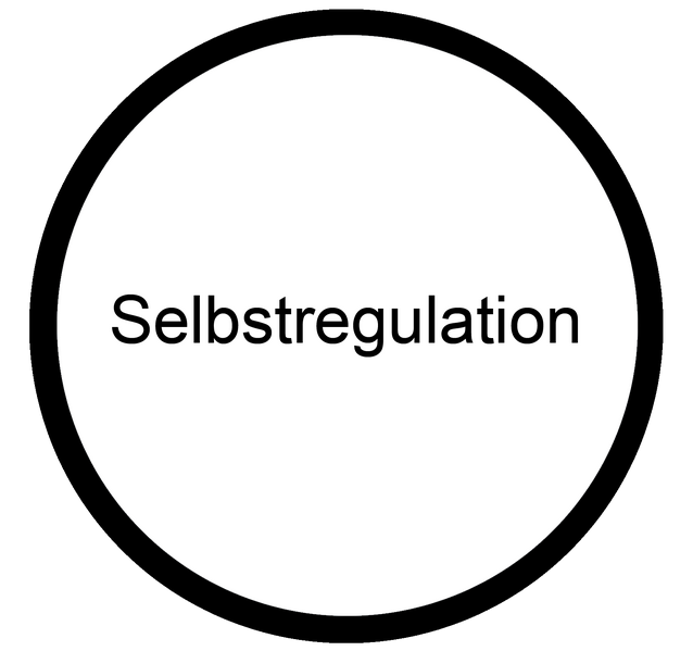 Datei:Selbstregulation Koennen Berufsorientierungs-Kompetenzraster MOOCit.png