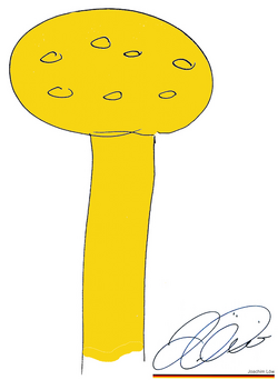 Jogi Loew Kritzelkollektion.png