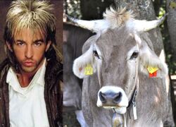 Limahl-Reinkarnation.jpg