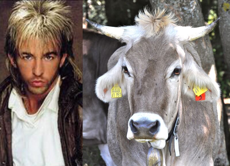 Datei:Limahl-Reinkarnation.jpg
