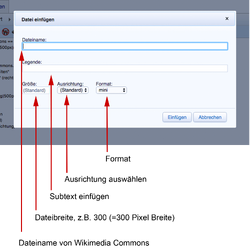MOOCit Wiki-Bearbeitung Bild 2.png