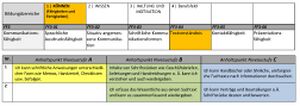 Koennen Berufsorientierungs-Kompetenzraster MOOCit Textverstaendnis.jpg