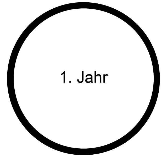 Datei:Baby MOOC - Erstes Jahr.png