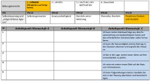 Koennen Berufsorientierungs-Kompetenzraster MOOCit Proaktives Denken und Handeln.jpg