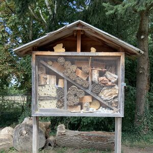 Insektenhotel Mundenhof-Tierquiz Freiburgspiel.jpg