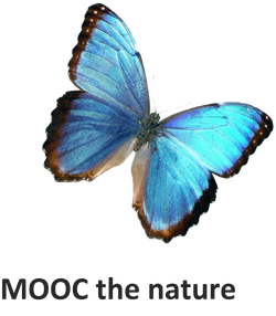 MOOC the nature.png