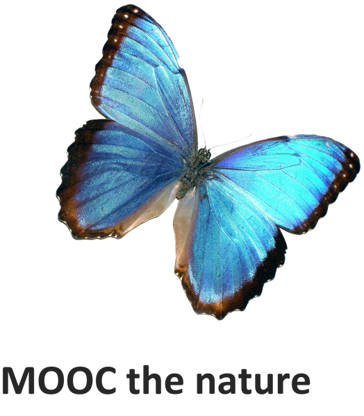 Datei:MOOC the nature.png
