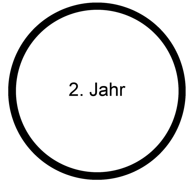 Datei:Baby MOOC - Zweites Jahr.png