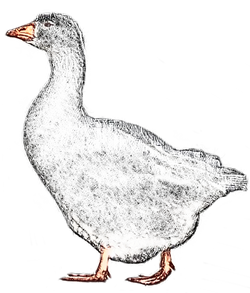 Gans gestohlen.png