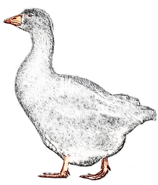 Datei:Gans gestohlen.png