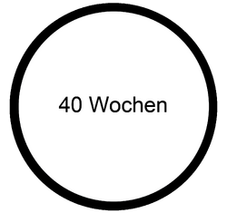 Baby MOOC - 40 Wochen.png