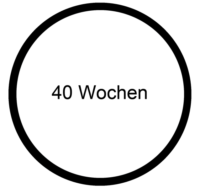 Datei:Baby MOOC - 40 Wochen.png