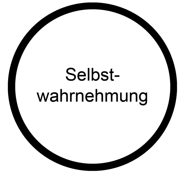 Datei:Selbstwahrnehmung Koennen Berufsorientierungs-Kompetenzraster MOOCit.png