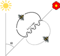 Vorschaubild der Version vom 00:03, 12. Jun. 2026
