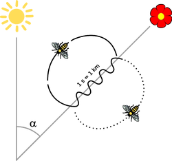 Bee dance.svg