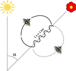 Bee dance.svg